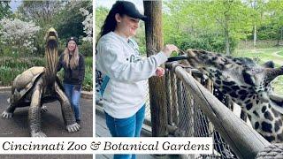 CINCINNATI ZOO AND BOTANICAL GARDENS | SPRING 2024