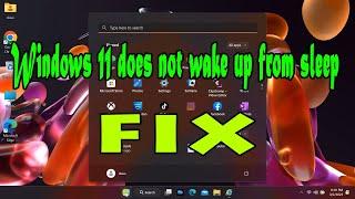 How to fix Windows 11 Won't Wake Up from Sleep Problem