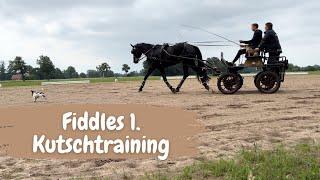 Kutschtraining mit Fiddle