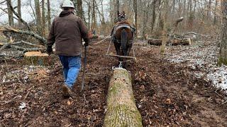 Zach Odom Logging