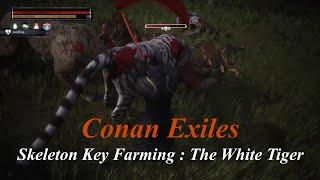 Conan Exiles Skeleton Key Farming The White Tiger