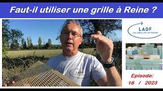 Faut-il utiliser une grille à Reine ???#apiculteur#LADF#abeilles#rucher#apiculture 2023#elevage