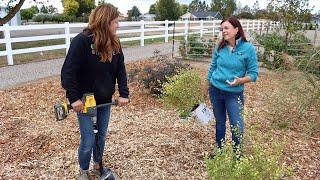 Gardening With My Friend Jenny!  // Garden Answer