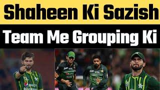 Shaheen Afridi misbehaved with Pakistan coach Gary Kirsten and management staff | Babar Azam