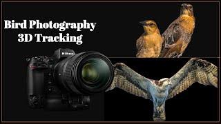 Bird Photography - 3D Tracking