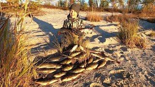 РЫБАЛКА КЛЁВЫМ ВЕЧЕРОМ НА МОРДАТЫХ ОКУНЕЙ, ЖИРНУЮ СОРОГУ И ГОЛОДНЫХ ЩУК В БАБЬЕ ЛЕТО НА ЯМАЛЕ!