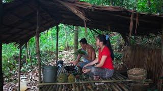 Suku Dayak || Hidup di Pondok saat Musim Durian