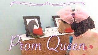 Prom Queen  {Schleich Music Video Part - 5}