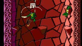 Battletoads: Level 2. Wookie Hole (Impact Crater)