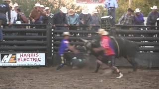 Tim Lipsett sticks Minion Stuart to win Brad Phipps Memorial (PBR)