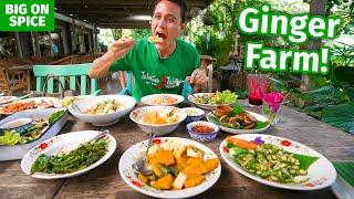 Thai Food Farm - 9 Dishes at Ginger Farm in Chiang Mai, Thailand!!