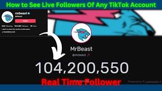 How To Tiktok Live Followers Count In Real Time | PC