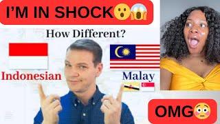 Malay and Indonesia Language | Do they speak the same words? | Similarities btw them [ REACTION ]