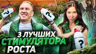 Самые ЭФФЕКТИВНЫЕ стимуляторы роста! ТОП-3