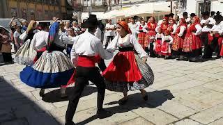 Folclore | Ronda Típica de Carreço