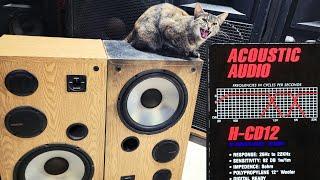 Acoustic Audio H-CD12 Destruction and Speaker Blowout