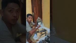 Unboxing Original Cangkul Impor Cap Buaya Thailan Juli 2024