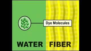 Dyeing - Fiber Reactive Dyes C