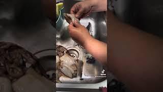 How to clean pusit 