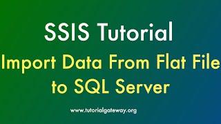 SSIS Import And Export Wizard - Import Data from Flat File To SQL Server