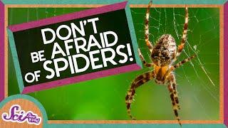 Don't Be Afraid of Spiders! | Amazing Animals | Backyard Science | SciShow Kids