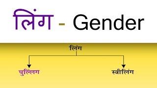 लिंग की परिभाषा || भेद और उदाहरण || Gender (Ling) Hindi Vyakaran