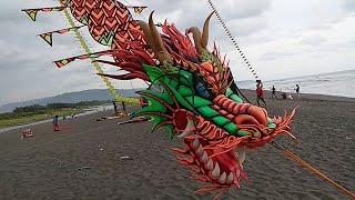 KOMAMKITE DITUNGGU LAMA. NAGA WISANGGENI AKHIRNYA HADIR DI PANTAI SAMAS.LAYANGAN NAGA