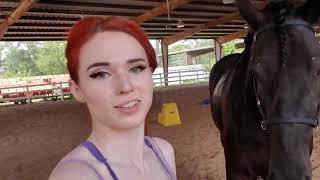 Amouranth vs Horse