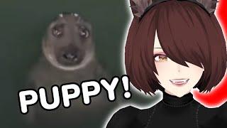 A Sea Puppy! | Saeko Reacts To Unusual Memes