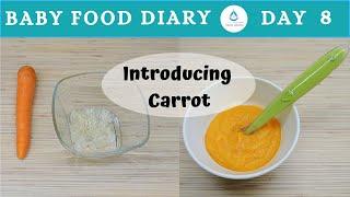 Baby Food | Baby Food Diary | Day 8 | Baby Food Recipe Carrot Rice | Infant Food Ideas