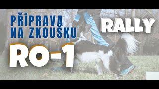 Rally obedience - přehled cviků třídy RO1, český zkušební řád (plat. 09/2024) - czech national rules