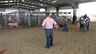 Umatilla County Fair 2024 - 4-H/FFA Swine Showmanship