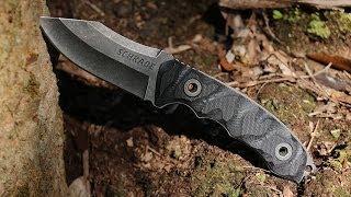 NEW! Schrade SCHF24 Fixed Blade Clip Point Knife - Best Tactical/Survival Knife