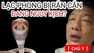 Lạc Phong Bị Rắn Cắn - Nguy Kịch?