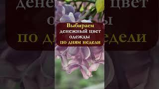 Выбираем денежный цвет одежды по дням недели, чтобы жить в достатке #shorts