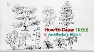 How to draw Tree (s) in Architecture Sketch #DrawPALM #DrawTREE #GibPal