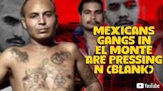 MEXICAN GANGS IN EL MONTE ARE WAGGING WAR ON THE BLACKS THAT SHARE THEIR COMMUNITY