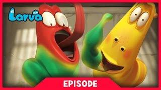 LARVA - SUPER STRENGTH | 2017 Cartoon Movie | Cartoons | Comics | 라바 | LARVA Official