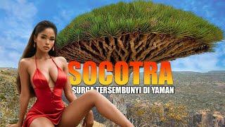 Socotra Surga Tersembunyi di Bumi!