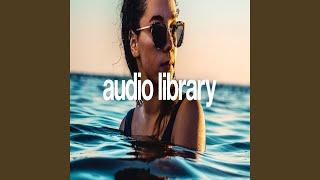 Audio Library