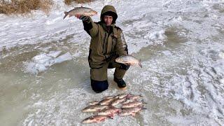 ОНИ С ТРУДОМ ПРОХОДЯТ В ЛУНКУ! ЗАКРЫЛ СЕЗОН ТАКИМИ КАБАНАМИ. ЗИМНЯЯ РЫБАЛКА 2024.