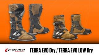 TERRA EVO Dry /TERRA EVO LOW Dry（商品紹介）