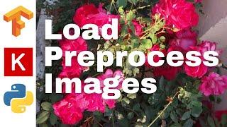 27: Load and preprocess images | TensorFlow | Tutorial