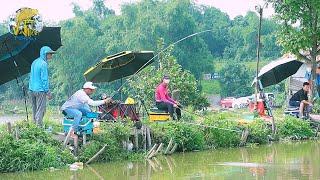 CÂU CÁ RÔ - MỒI CÂU CÁ RÔ MỚI