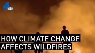 How Climate Change Plays Into California's Wildfire Severity | NBCLA