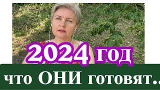 2024 год /что ОНИ  знают/что готовят?