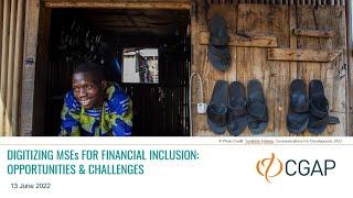 Digitizing Micro and Small Enterprises (MSEs) for Financial Inclusion Opportunities and Challenges