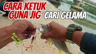 Teknik ketuk jig Gelama| Pulau ular Landbase Jigging #Vlog49