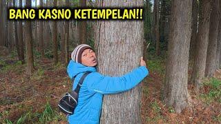 NGABUBURIT KITA DI JEPANG || KESASAR DI HUTAN JEPANG SORE SORE BLUSUKAN KE HUTAN JEPANG