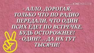 - Чё ну? Шапочка его где? ЮМОРНЕМ